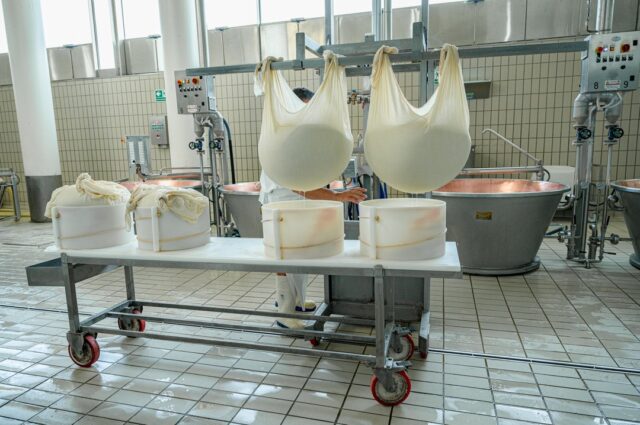 Transferring the cheeses to the fascera is an incredibly spectacular process. Watch the agile movements of cheesemaker Filippo as he tightens the linen cloth around the cheese.

An article about the visit to the Montecoppe cheese factory is available on the blog.
---
Przekładanie serów do fascery to niesamowicie widowiskowy proces. Spójrzcie na zwinne ruchy serowara Filippo, który zaciska lniany materiał na serze.

Artykuł z wizyty w serowarni Montecoppe dostępny na blogu.

#parmigianoreggiano #italianfoodheritage #italiancuisine #cucinaitaliana #italianbyheart #cookingitaly #foodlove #foodphotography #foodphotographer #foodblogger #foodblog #food52 #foodwriter #wiemcojem #karmsiędobrze #blogkulinarny #foodtravel @parmigianoreggiano @caseificiomontecoppe