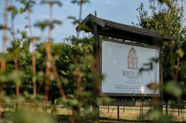 "Sometimes a moment gives back what many years have taken away."

This year, thanks to the courtesy of @parmigianoreggiano and @caseificiomontecoppe, I fulfilled my life dream - I visited the unique and marvelous Parmigiano Reggiano cheese dairy - Montecoppe. 

The project of the new dairy was completed in 2016, and carried by Guido Canali - renowned architect, who can be recognised by his geometrical, elegant, simplistic and practical design style. The crucial condition for the project was to make it so it has a minimal impact on the surrounding environment, which is protected area of Boschi di Carrega Natural Park. - I was stunned how the design melts into its natural environment.
The Montecoppe caseificio is located on the outskirts of the city of Parma (c.a. 12 km South-West), Emilia-Romagna region. 

Our visit took place early in the morning, so that we could participate in the entire cheese-making process. I was so excited for it, we arrived there much before the indicated time, so I had plenty of it, to explore the area of Montecoppe caseificio. It so wonderfully kept yet allows you to feel you are in the countryside. Well done owners.

The renovated, neo-Gothic, old dairy building now serves as a shop, offices, and meeting room. 

It was Monday, a day when most Italian facilities are closed, after a busy week and weekend, so the shop was closed, but I couldn't resist its beauty and took a few sneak peek photos through the window. At that point, I was still without my breakfast, so the sight of hanging salami, Prosciutto Crudo, cheese and wine in the coolers made me feel twice as hungry.

To the rescue of my hunger came Cristina, our guide, who took us, but most of all me, on the most beautiful journey. The doors of the dairy were opened for me, and I, like Alice, was transported in place and time.

[TBC]

#parmigianoreggiano #italianfoodheritage #italiancuisine #cucinaitaliana #italianbyheart #cookingitaly #foodlove #foodphotography #foodphotographer #foodblogger #foodblog #food52 #foodwriter #wiemcojem #karmsiędobrze #blogkulinarny #foodtravel